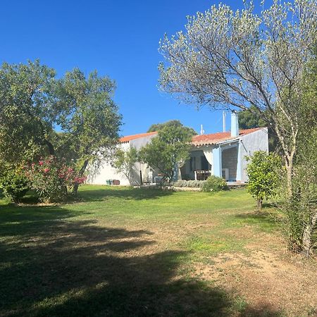 Lo Stazzo Di Wally Hostal Porto Pollo Exterior foto